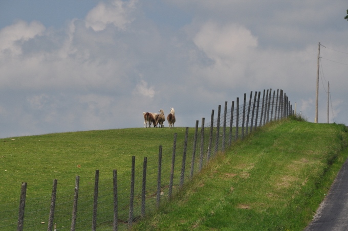 Ohio Amish farmland